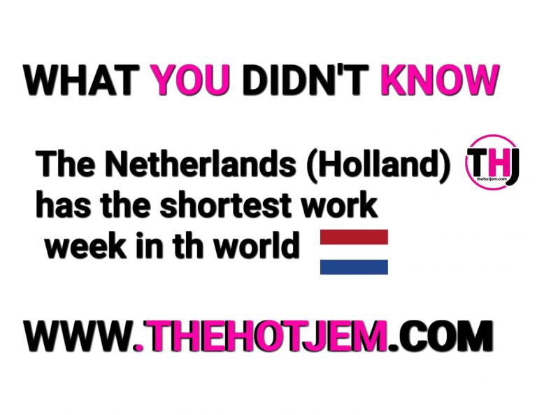 What You Didn T Know About Working In The Netherlands The Hotjem 1 Pan African Media Outlet For News Pop Culture Trends