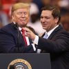 Donald Trump Stop Automatic Citizenship pic