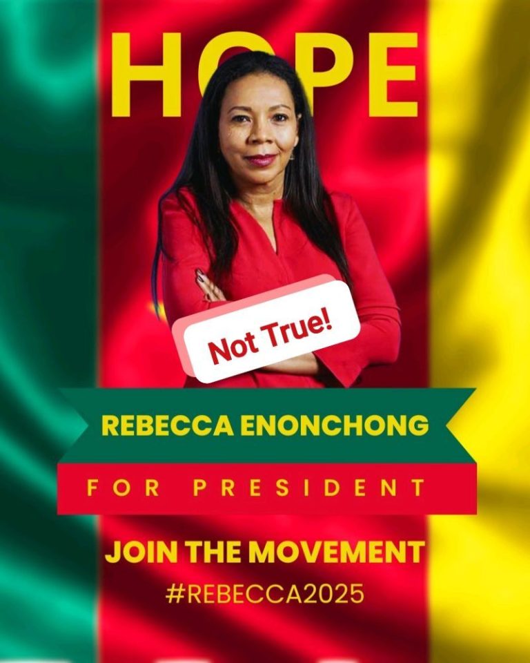 REBECCA ENONCHONG, A POTENTIAL CANDIDATE FOR THE 2025 PRESIDENTIAL