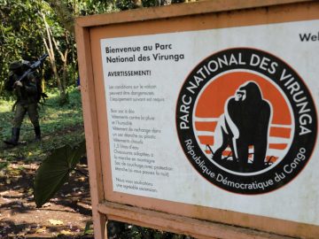 210111110125-virunga-national-park-sign-file