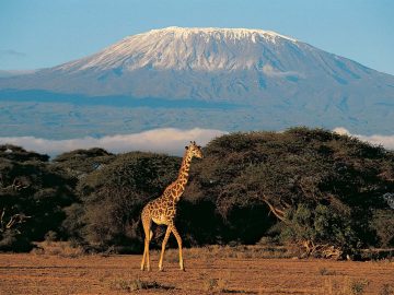Mount-Kilimanjaro-Tanzania