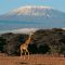 Mount-Kilimanjaro-Tanzania