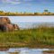 news_2398-890-520-20220131122801