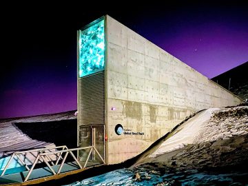 1200px-Entrance_to_the_Seed_Vault_(cropped) (1)