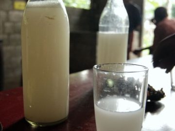 Toddy_Bottle_and_Glass