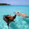 Vorobek_Bahamas_-_swimming_pigs