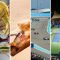The-biggest-sporting-events-in-the-Middle-East-for-2022 (1)