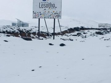 IMG_0240