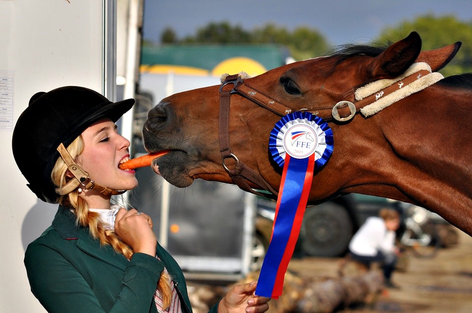 CARROTMYTH